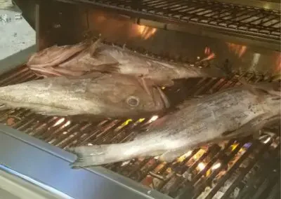 BBQ Catch of Day